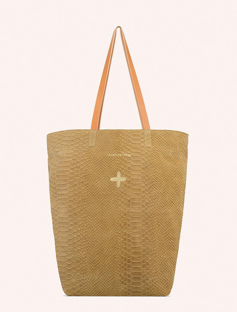 coverSMES.SNA.BE.M_1