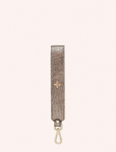 DCHR.TUR.CA.M-TURTLE_CAFE_CHRIS_2