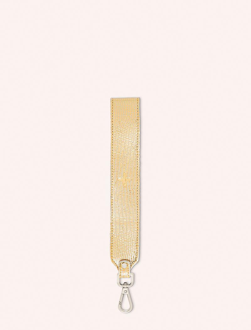 DCHR.TUR.OR.M-TURTLE_OR_CHRIS_2