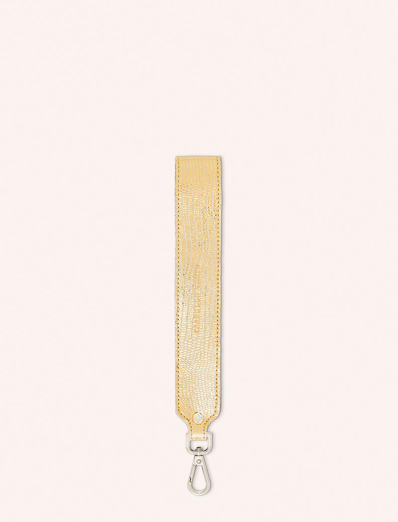 DCHR.TUR.OR.M-coverTURTLE_OR_CHRIS_1