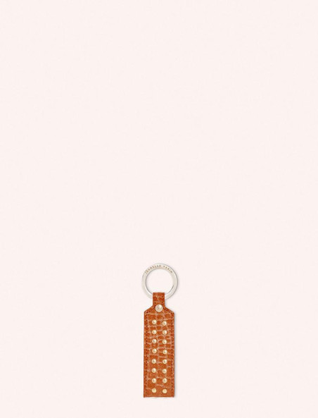 cover497-370