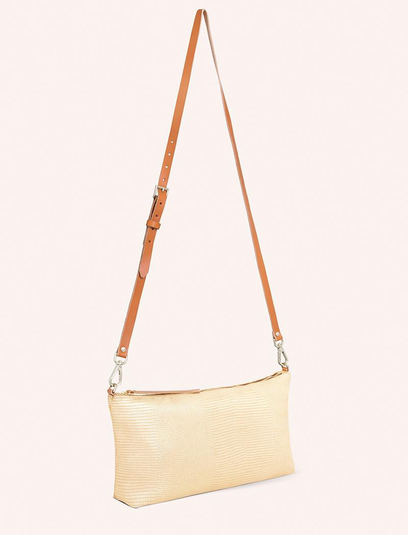 SJOE.TUR.OR.M-TURTLE_OR_JOE_C