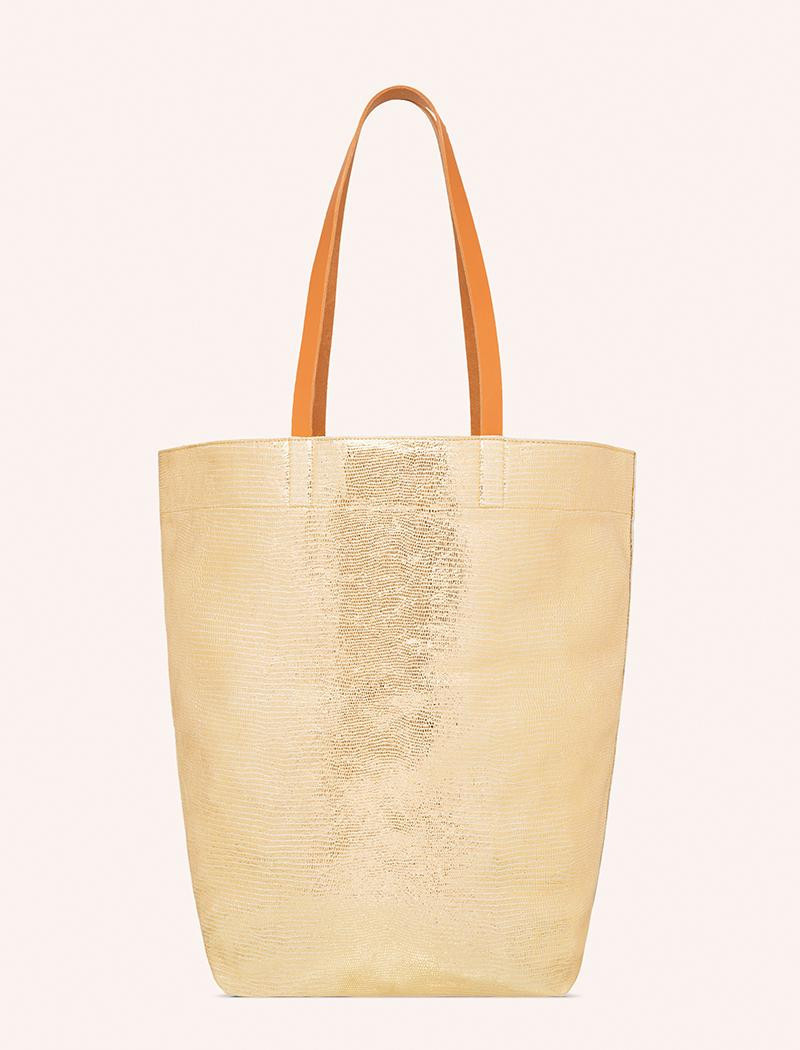 SMES.TUR.OR.M-TURTLE_OR_MESTER_B